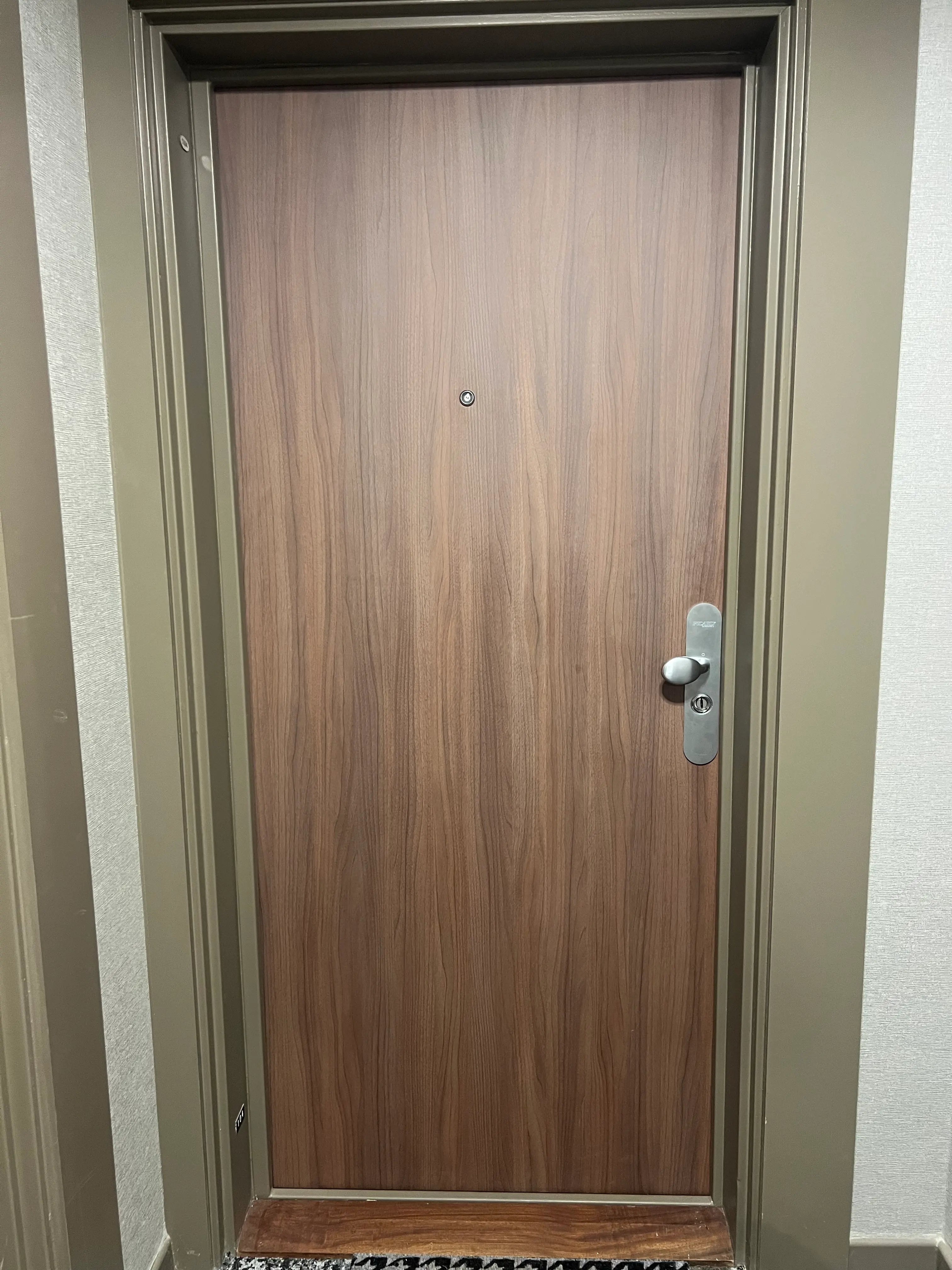 blindage de porte vu exterieur coloris bois