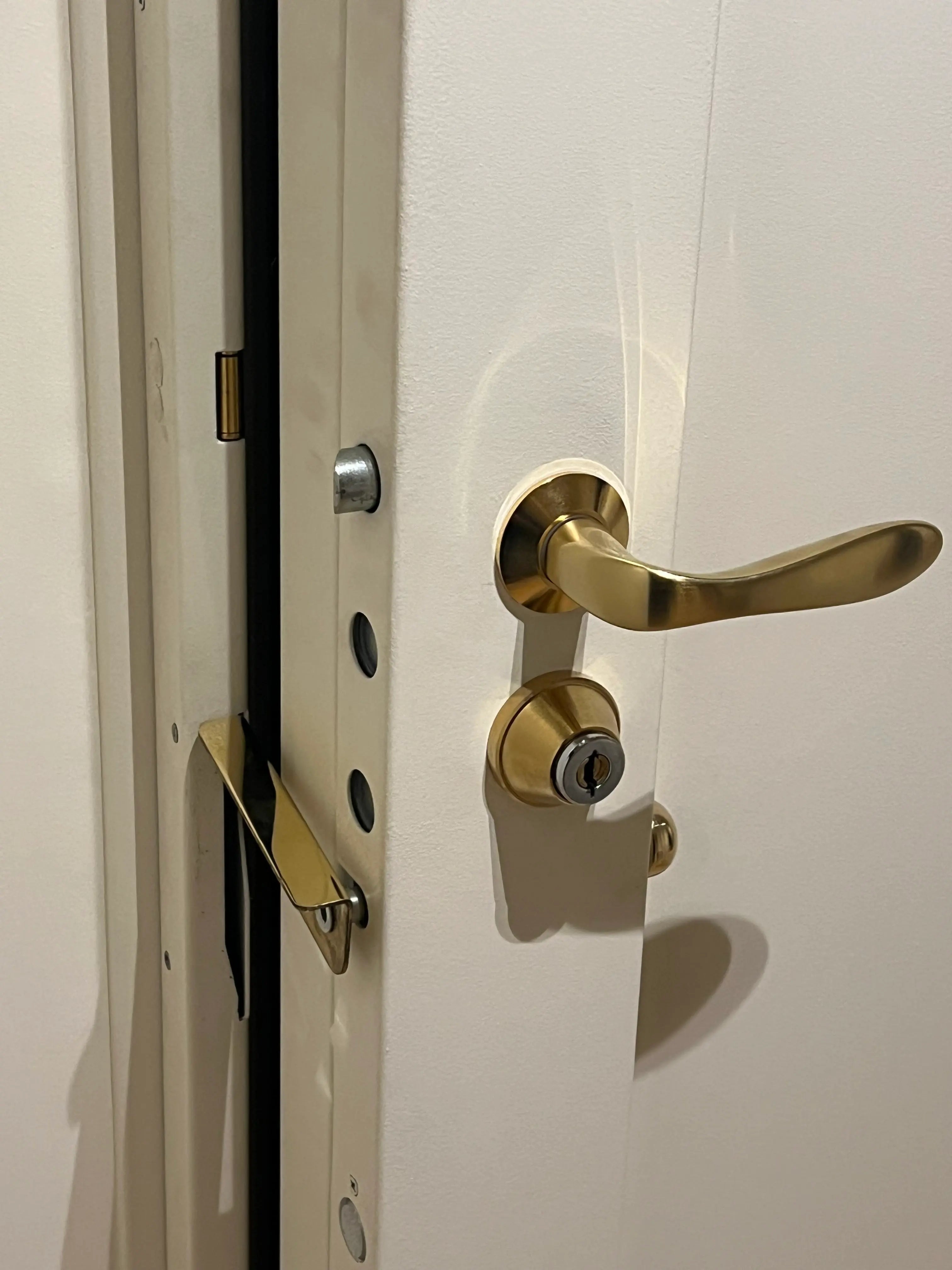 blindage de porte d'appartement vu interieur accessoire doré